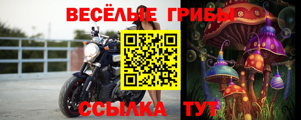 Каменка  Галлюциногенные грибы мухоморы  Вход с VPN 
